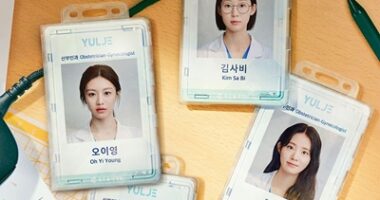 Download Drama Korea Resident Playbook Subtitle Indonesia