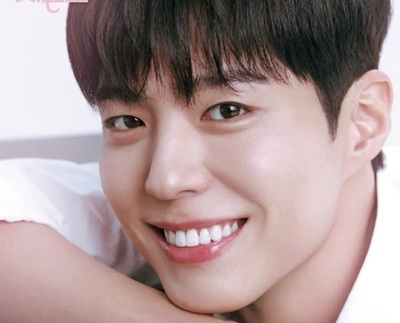 Download The Seasons: Park Bo Gum’s Cantabile Subtitle Indonesia