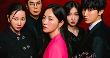 Download Drama Korea Ms. Incognito Subtitle Indonesia